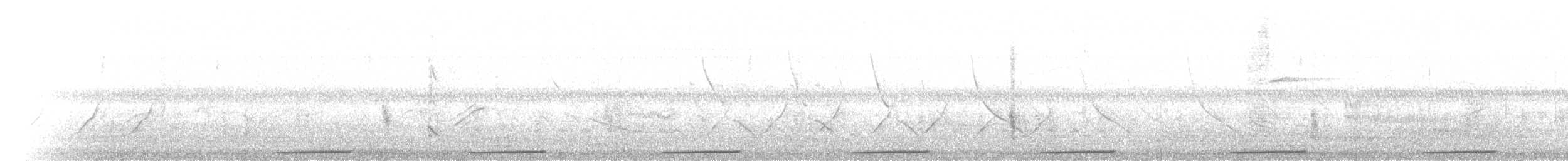 Талпакоті строкатоголовий - ML93566651