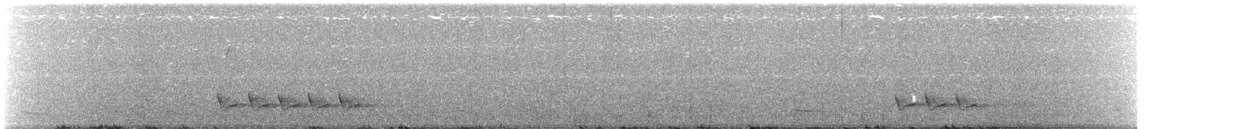 Поплітник каролінський - ML93607011