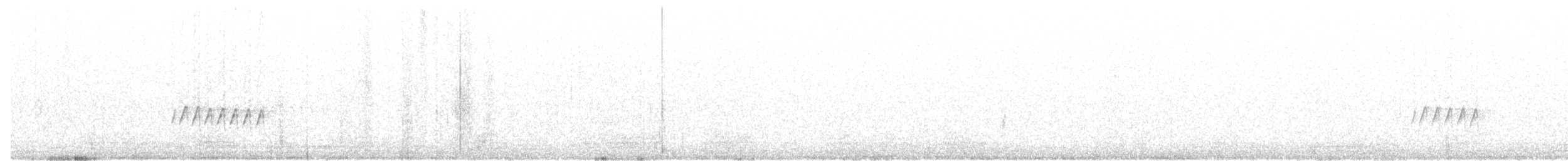 tanımsız kızıl minivet (Pericrocotus sp.) - ML93612031