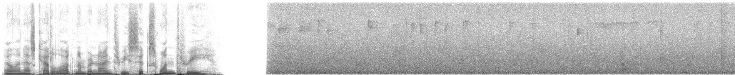 Wedge-tailed Jery - ML93613