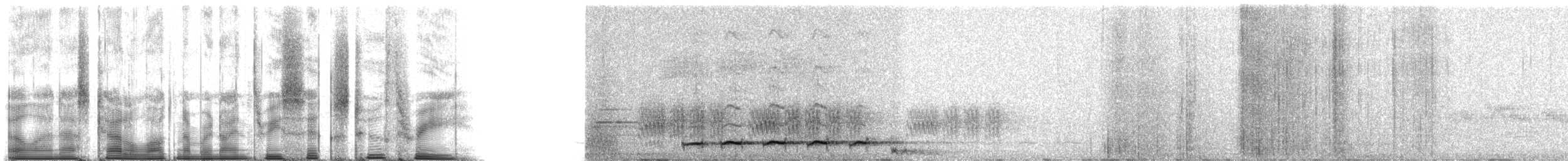 ニシジカッコウ - ML93623