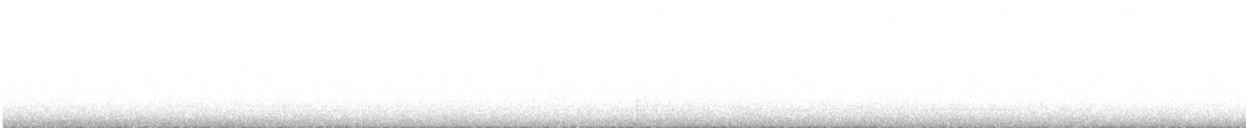 tanımsız Sterninae sp. - ML93624941