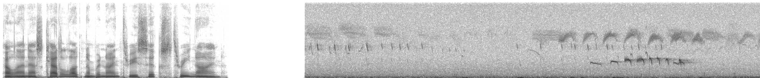 Malagasy Swift - ML93639