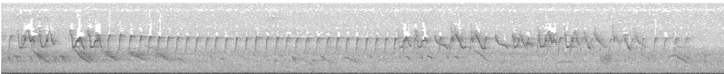 Вилохвостая нектарница - ML93649181