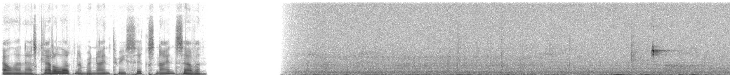 Grèbe malgache - ML93697