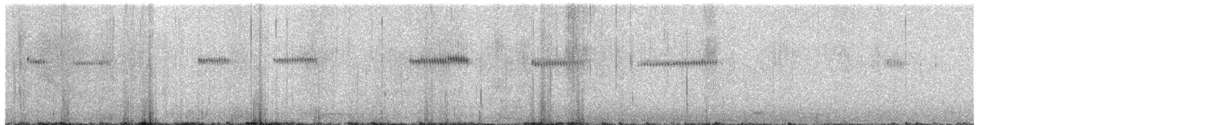 Широкохвостый колибри - ML93771721