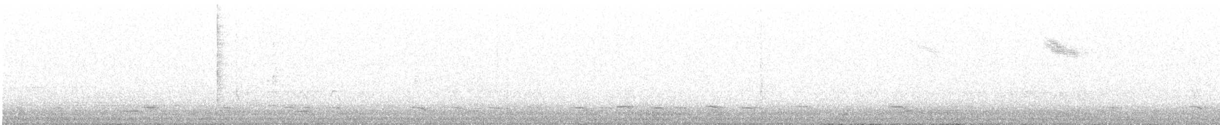 Common Scoter - ML93810511