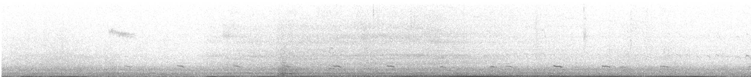 Common Scoter - ML93810581