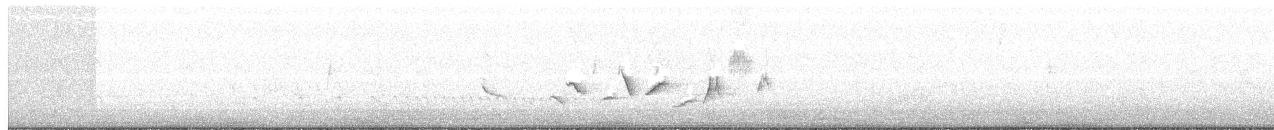 Tilki Renkli Serçe [schistacea grubu] - ML93813441