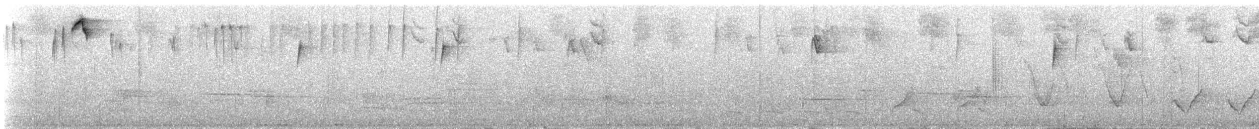 Черноухий колибри - ML93815011