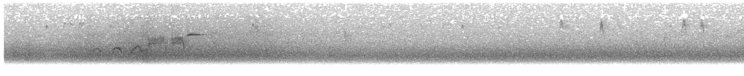 Reinita de Townsend - ML93819901