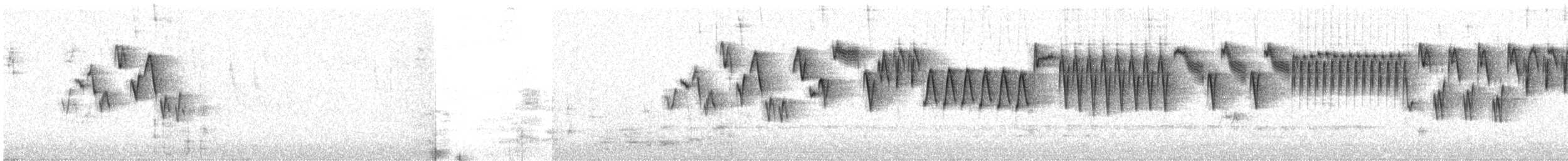 Troglodyte de Baird - ML93836091