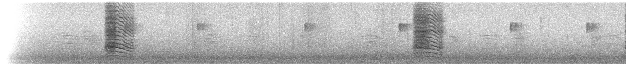 Пересмішник сірий - ML93853521