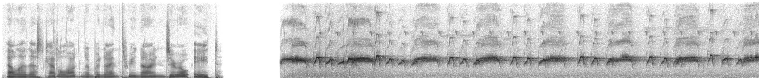 Mésite variée - ML93908