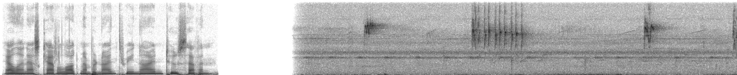 Саїманга оливкова - ML93927