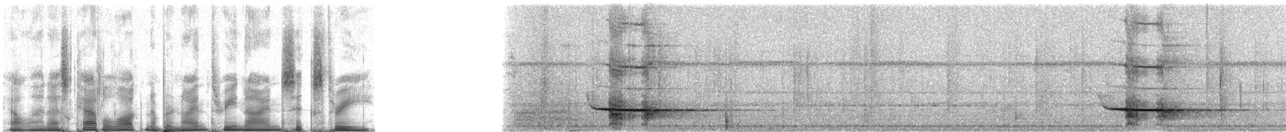 Lowland Sooty Boubou - ML93963