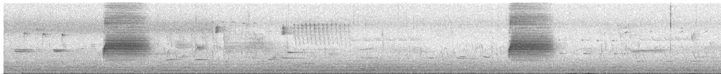 Spotted Towhee (oregonus Group) - ML94010771