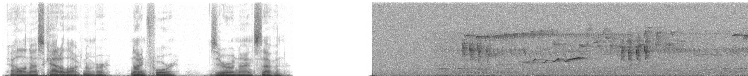 チェバートオオハシモズ - ML94097