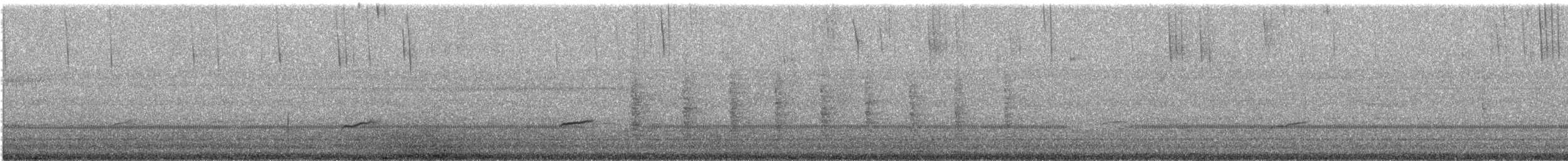 Дрізд-короткодзьоб Cвенсона - ML94152581