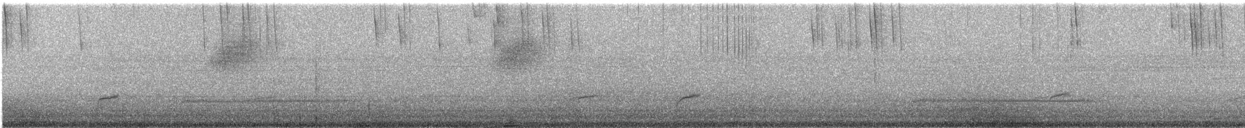 Дрізд-короткодзьоб Cвенсона - ML94152601