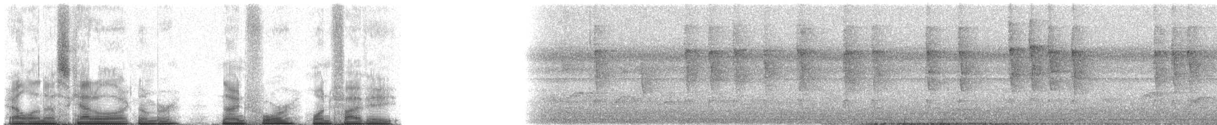 Пеночковая нектарница - ML94158