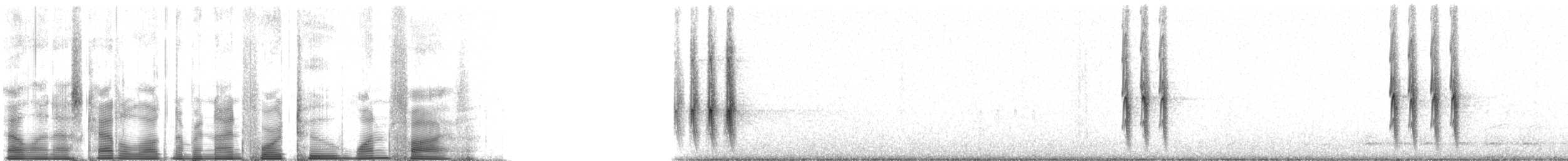 Sargento Alirrojo (grupo phoeniceus) - ML94215