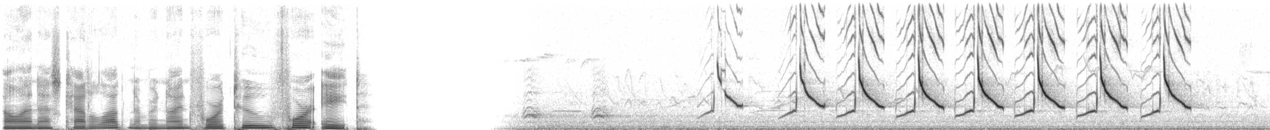 Northern Cardinal - ML94248