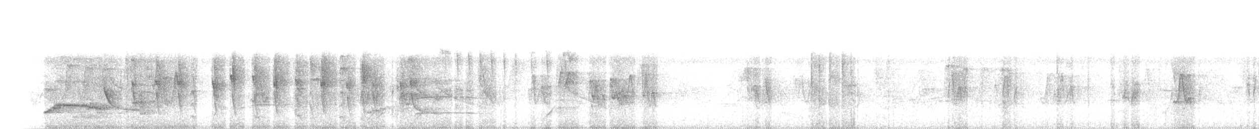 Süd-Fleckenmaskentyrann - ML94251531