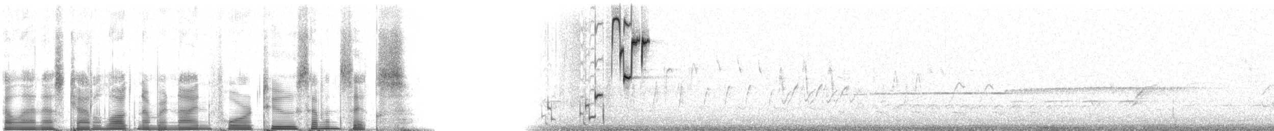 Braunkopf-Kuhstärling - ML94276