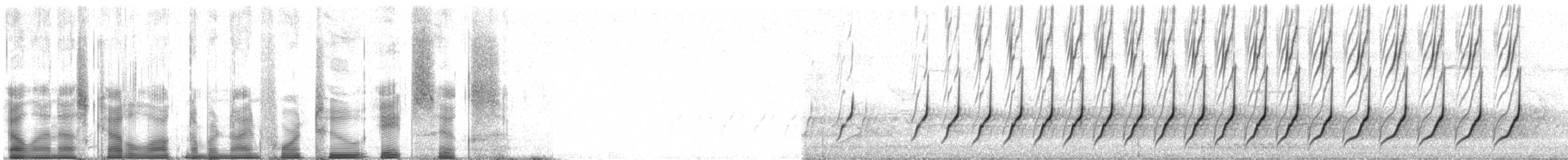 Northern Cardinal - ML94286