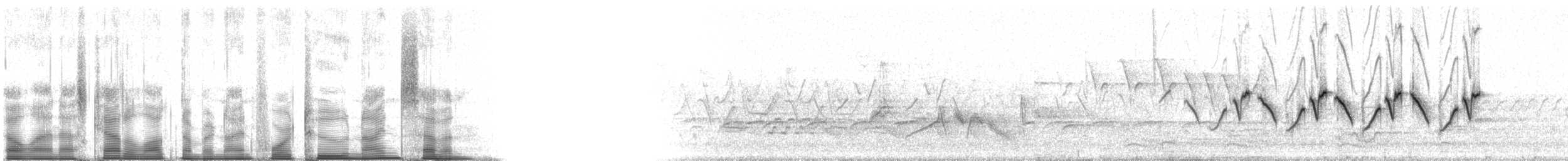 Common Yellowthroat - ML94297