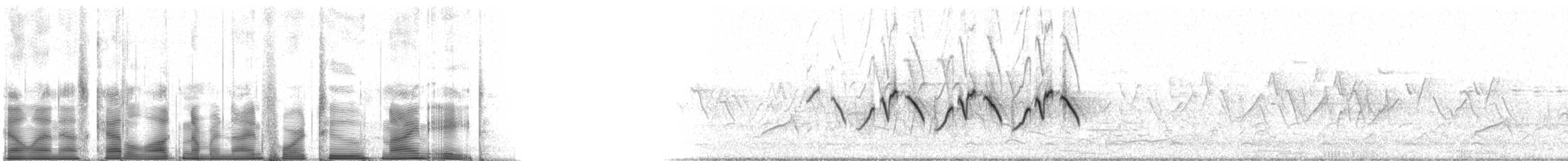 Common Yellowthroat - ML94298