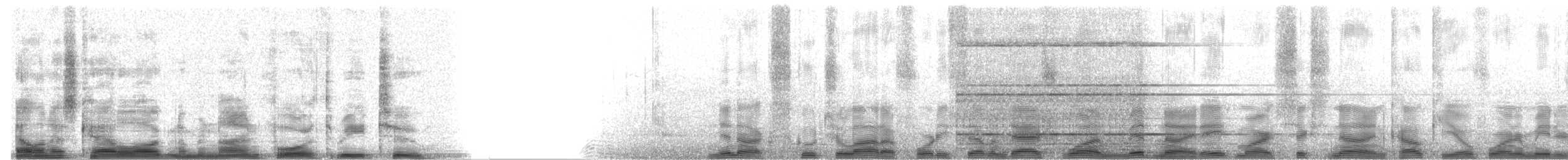 Brown Boobook - ML9432