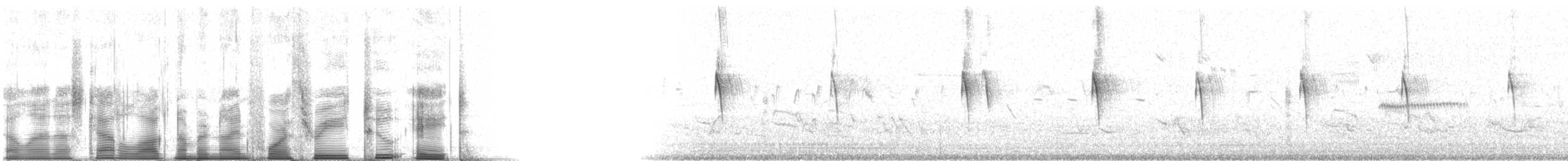 Sargento Alirrojo (grupo phoeniceus) - ML94328