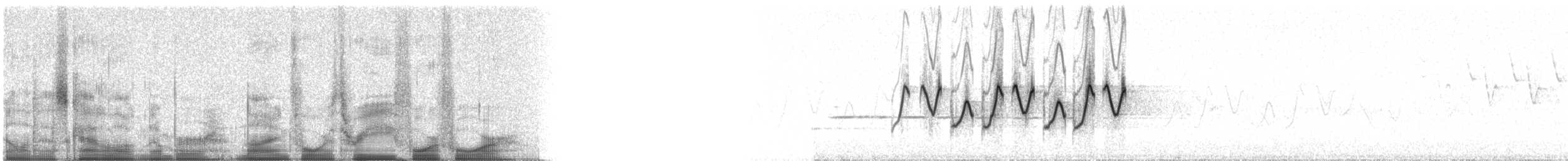 Common Yellowthroat - ML94344
