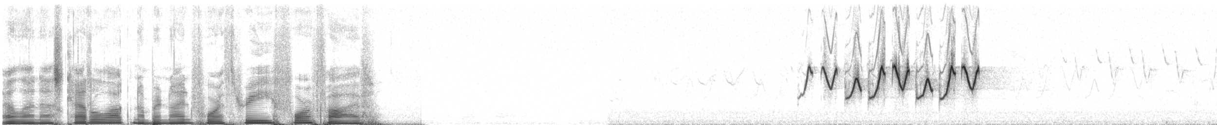 Common Yellowthroat - ML94345