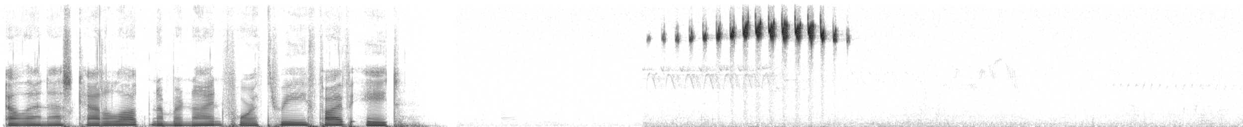 Пестрогрудая древесница - ML94358