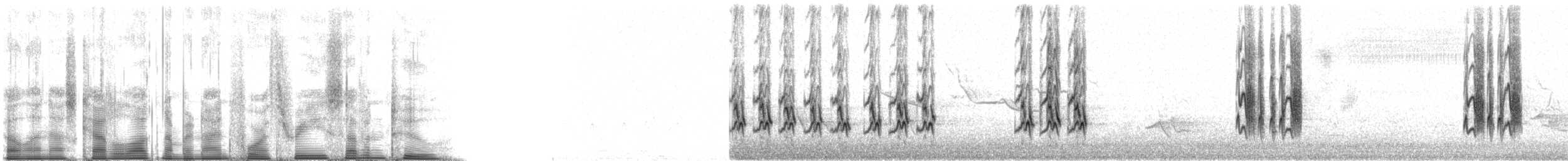 Gartenspottdrossel - ML94372