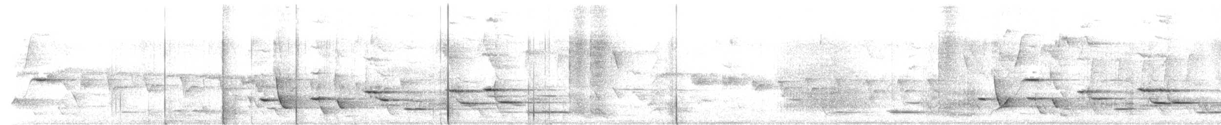 Méliphage carillonneur - ML94375171