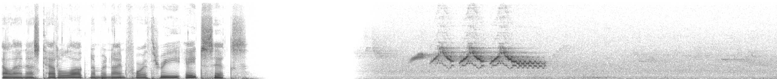 viriskogtrost - ML94386
