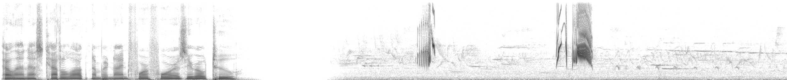 Ивовый мухолов - ML94402