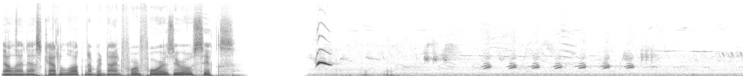 lesníček žlutoprsý (ssp. virens) - ML94406