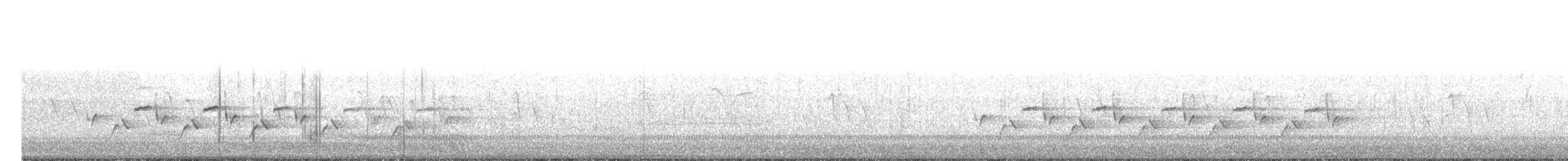Поплітник каролінський - ML94425841