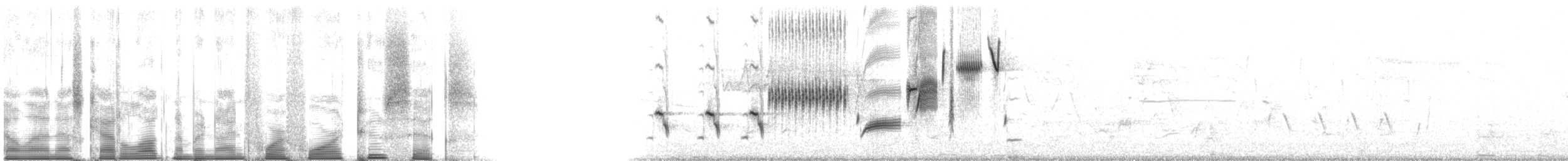 Song Sparrow - ML94426