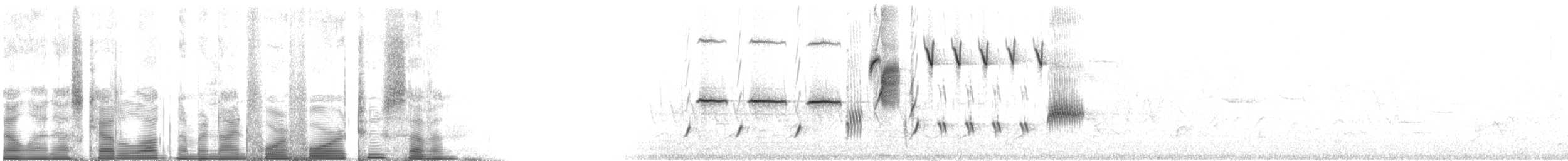 Song Sparrow - ML94427
