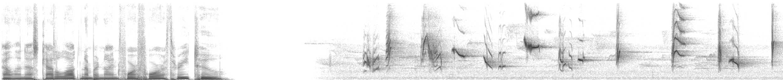 Miaulari grisa - ML94432