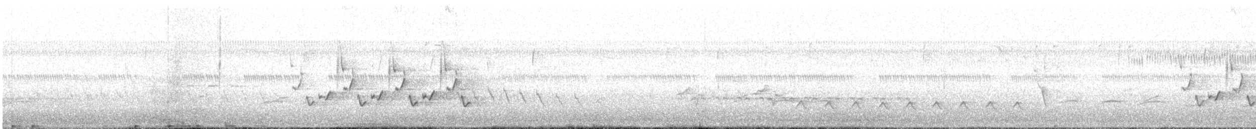 Поплітник каролінський - ML94435571