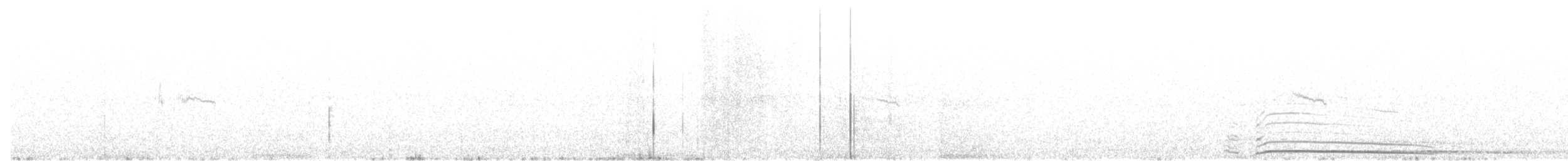 Kaya Çıtkuşu - ML94499211