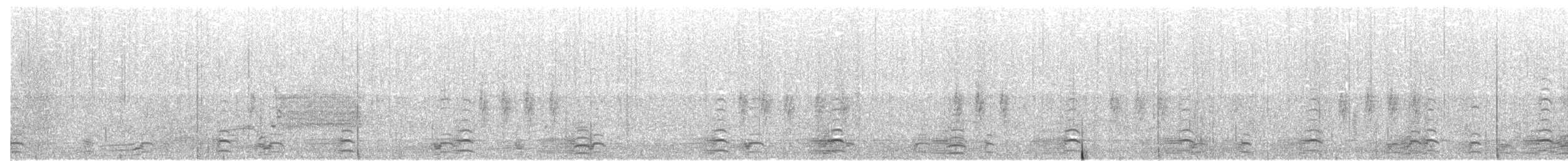 Çamurcun (carolinensis) - ML94500091