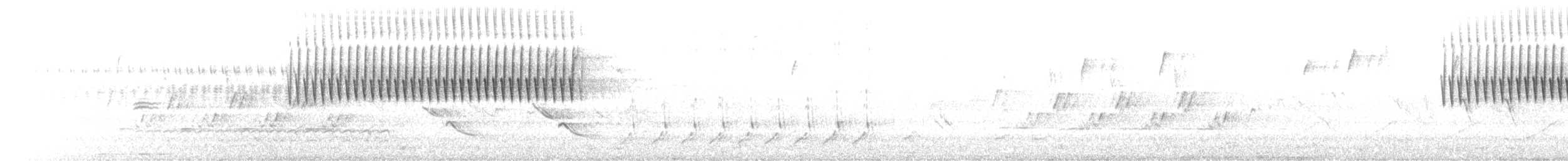 Малая воробьиная овсянка - ML94535301